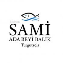 bodrum sami adabeyi balık turgutreis