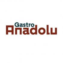 gastro anadolu