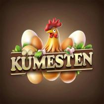 kılıç gıda kümesten
