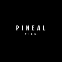 pineal film