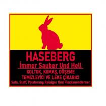 haseberg immer sauber und hell koltuk, kumaş. döşeme temizleyici ve leke çıkarıcı sofa, stoff, polsterung reiniger und fleckenentferner