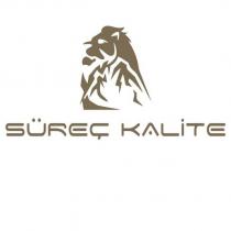 süreç kalite