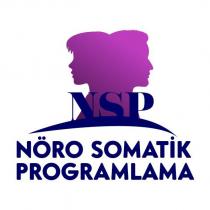 nsp nöro somatik programlama