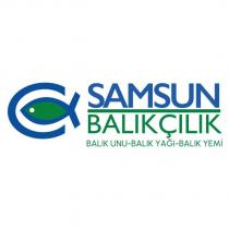 samsun balıkçılık
