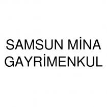 samsun mina gayrimenkul