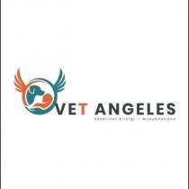 vet angeles veteriner kliniği muayenehane