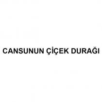 cansunun çiçek durağı
