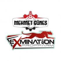 mehmet güneş exmination proffarm