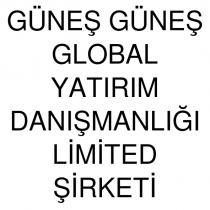 güneş güneş global yatırım danışmanlığı limited şirketi