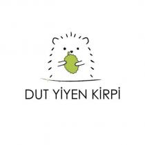 dut yiyen kirpi