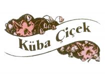 küba çiçek