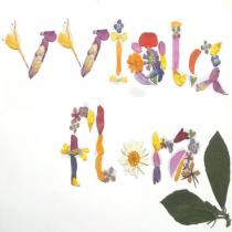 vviolaflora