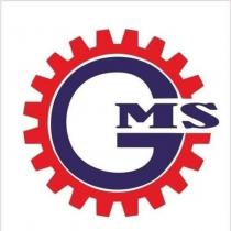 gms