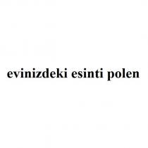 evinizdeki esinti polen