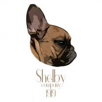 shelby company 1919