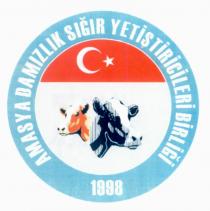 amasya damızlık sığır yetiştiricileri birliği 1998