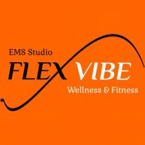 flexvibe wellness & fitness ems studio