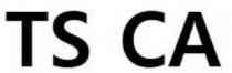 ts ca