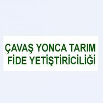 çavaş yonca tarım fide yetiştiriciliği