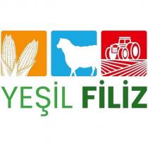 yeşil filiz