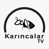 karıncalar tv