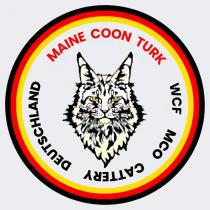 maine coon turk wcf mco cattery deutschland
