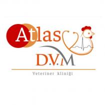 atlas dvm veteriner kliniği