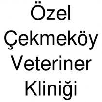özel çekmeköy veteriner kliniği