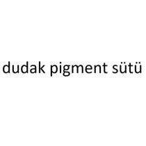 dudak pigment sütü