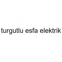 turgutlu esfa elektrik