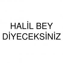 halil bey diyeceksiniz