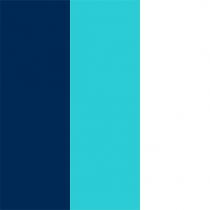 renk markası Pantone 295 C, Pantone 319 C, Pantone 1-1 C