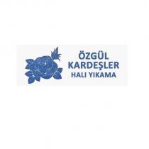 özgül kardeşler halı yıkama