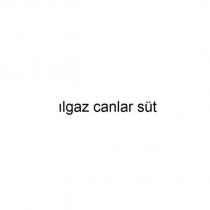 ılgaz canlar süt