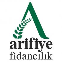 arifiye fidancılık
