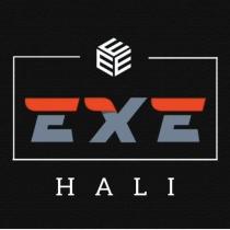 exe halı