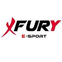 fury e-sport