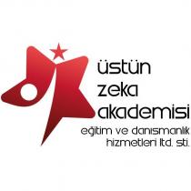 üstün zeka akademisi eğitim ve danışmanlık hizmetleri ltd. şti.