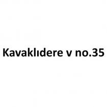 kavaklıdere v no.35