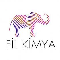 fil kimya