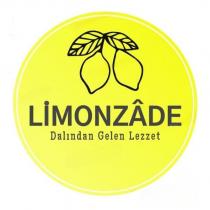 limonzade dalından gelen lezzet