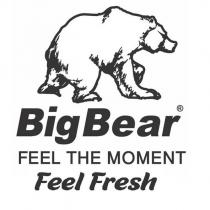 big bear feel the moment feel fresh
