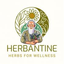 herbantine herbs for wellness