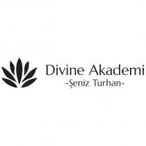 şeniz turhan - divine akademi