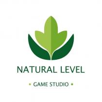natural level game studio