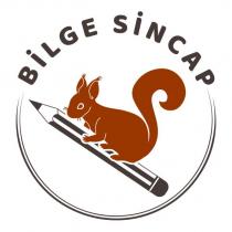 bilge sincap