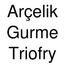 arçelik gurme triofry