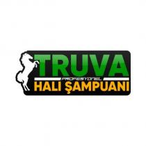 truva profesyonel halı şampuanı