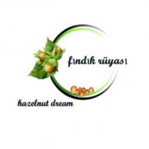 fındık rüyası hazelnut dream