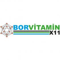 borvitamin x11